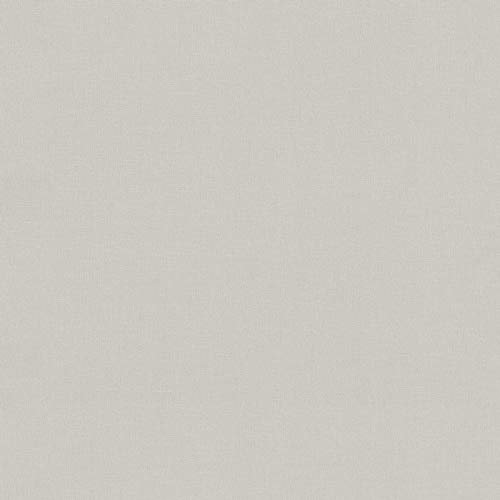 BRICOFLOR Papier peint intissé | Papier peint uni - Papier peint WC, Papier peint salle de bain - Beige / Crème, Gris | Taille 10,05 x 0,53 m = 5.33 m² BR367252P509SC2