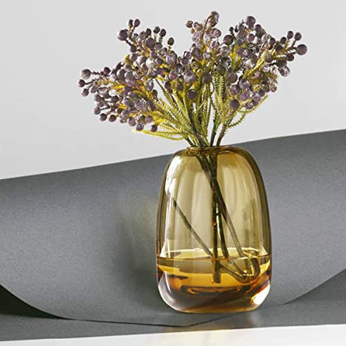 XIUWOUG Kleine Glasvasen Für Pampasgras Blumenvase Modern Vase Für Tischdeko Kugelvase Glas Für Wohnzimmer Tablett Bad Couchtisch,Amber l