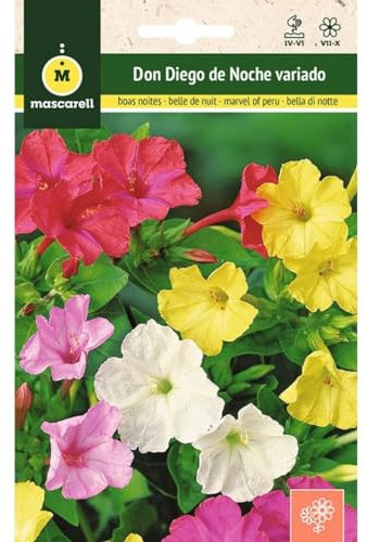 Mascarell Semillas, DON DIEGO DE NOCHE VARIADO, Semillas Flores Exterior para Decoración, 4 Gramos