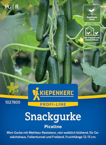 Kiepenkerl Profi-Line Snackgurkensamen Picolino 1027800 - Bitterfreie, kernarme Gurken für Garten & Gewächshaus - Gurkensamen, süße Minigurken
