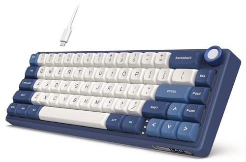 RK ROYAL KLUDGE Tastiera da gioco cablata R65 con manopola del volume, 60% percento RGB retroilluminato tastiera meccanica guarnizione supporto con copritasti PBT, profilo MDA, QMK/VIA, interruttore
