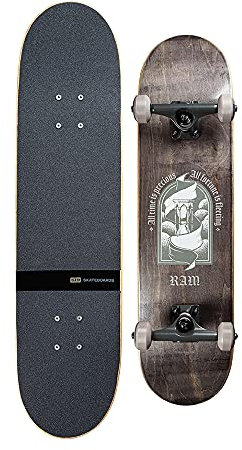 Ram Skateboard Komplettboard Holzboard Kinder Erwachsene Ahorn Funboard 31 ABEC-11 Ligat Dark