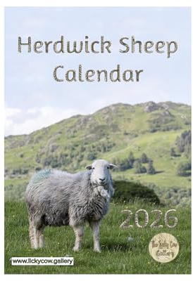 Herdwick Sheep Wall Calendar 2026 by photographer Toni Cross. Sprial Bound with Hanger