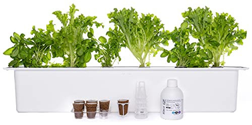 Nelson Garden 1933 Hydroponik Growbox Kit - Harvy 6 - Hydrokultur Anzuchtkasten weiß Starter Kit für sechs Pflanzen (Verschiedene Größen erhältlich)