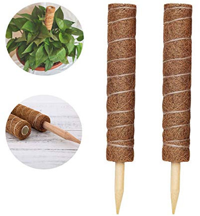 LINSOCLE 2 pezzi Totem Cocco, Bastone Muschiato, Palo Cocco, Totem Pole, Bastoncini di Cocco, Bastoncino da Muschio per Pianta Rampicante(30CM)