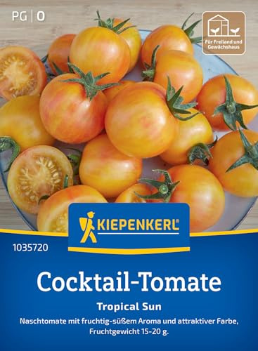 Kiepenkerl Cocktail-Tomatensamen Tropical Sun 1035720, Gemüsesaat | Naschtomate, attraktive Farbe, 15-20g, platzfest, für Freiland, Gewächshaus & Topf