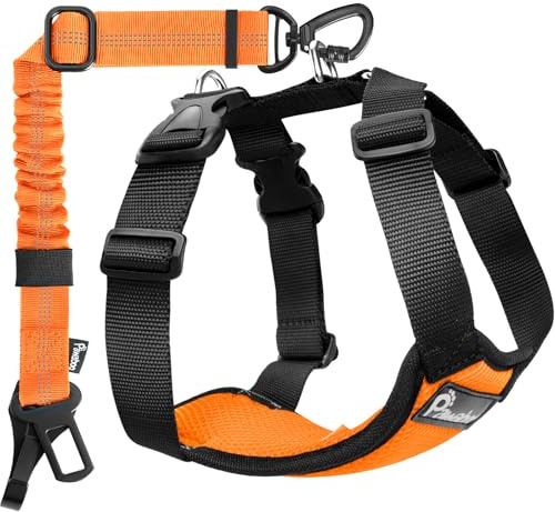 Pawaboo Harnais de Sécurité pour Chien en Voiture avec Double Attache | Ceinture de Sécurité, Gilet Respirant Ajustable et Laisse Chien avec Élastique pour Petit Moyen Grand Animal, XL, Orange