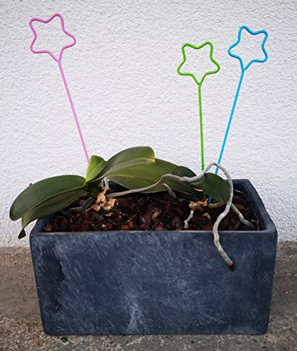 patepa Bunte Blumenstecker, Dekostecker für Orchideeen, kleine Gartenstecker im 3er Set