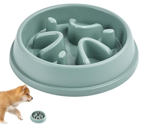 Gamelles pour Chien à Alimentation Lente Petite Race, Gamelles pour Chien à | Bol d'alimentation lente anti-avalement pour
