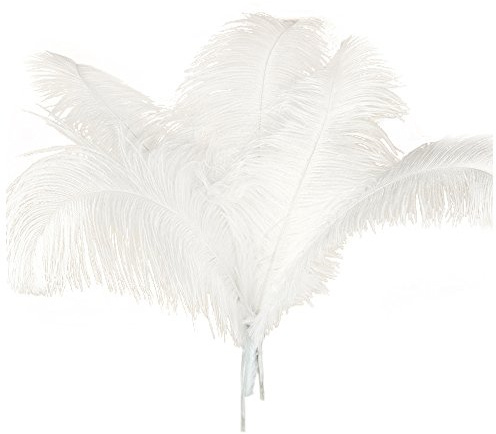 Globalflashdeal 10 Pcs Naturel Plumes D'Autruche Decoration Noel Blanc 45-50Cm