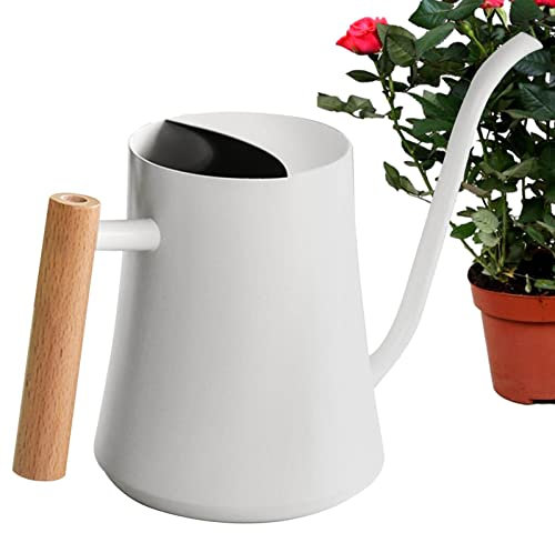 woyufen 1L Gießkanne, Kleinere Topfpflanzen Edelstahl Indoor Gießkanne Mit Langem Auslauf Und Komfortablem Holzgriff Für Zimmerpflanzen Sukkulenten
