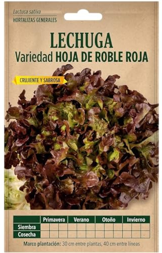 Semillas de Lechuga Hoja de Roble para Jardinería en Casa | Cultivo en Maceta, Huerto Urbano o Jardín – DECOALIVE