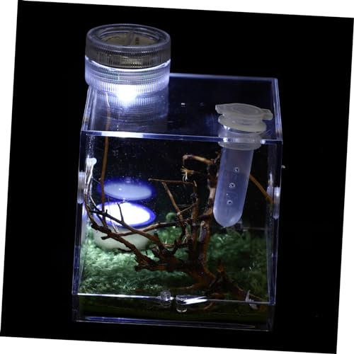 Angoily Spinnen Lebensraumbox Für Springspinnen Ökologische Brutbox Mit Belüftungsöffnung Klein Für Terrarien Und Haustierhaltung