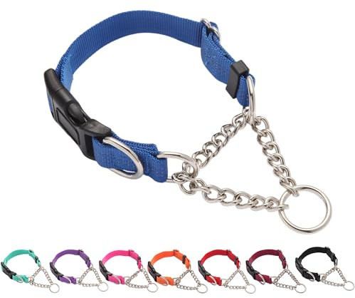 Yunleparks Martingale Dog Collar with Quick Release Buckle Steel Chain No Pull Training Reflective Collar for Medium Large Dogs(Blue, Medium)