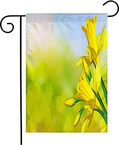 Jardín Bandera Holanda Colorido Brote Primavera Flower Azul Hermosa Belleza Narcisos Narciso Parques Al Aire Libre Resistente A La Intemperie Bandera Para Exteriores, Para Boda, Balcón, 30x45cm