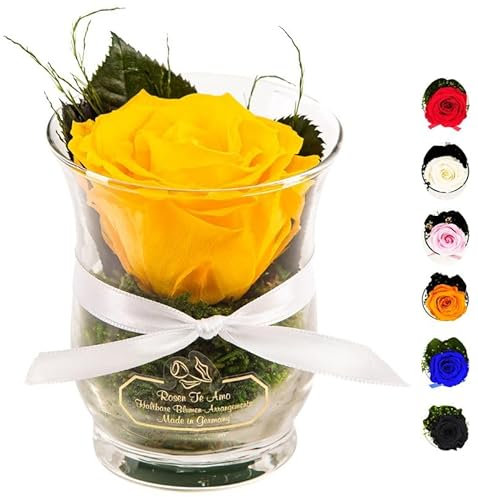 Rosen-Te-Amo, Regalo Dia de la Madre | Rosa eterna Amarilla perfumada en Caja Regalo| Maceta de Vidrio || Flores Naturales Domicilio | Decoracion hogar | Regalos Originales Mujer