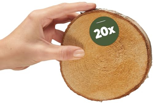 Kleine Holzscheiben 12 cm zum Holz-Deko Basteln - 20 Stk. runde EU Birkenholz Baumscheiben
