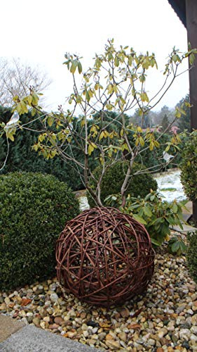 Marcus Weidenhandel Weidenkugel in 6 Größen, Dekokuge laus Weide Weidenball Gartenkugel Handgefertigt in EU (45cm)