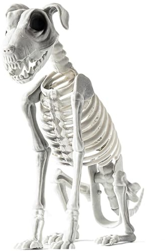 Halloween Skelett Hunde, 31 X 44 cm, Sitzendes Hunde Skelett Deko Mit Realistischen Zähnen, Schreckliche Und Merkwürdige Halloween Deko Für Draußen, Halloween Deko Outdoor Für Spukhaus, Gathering