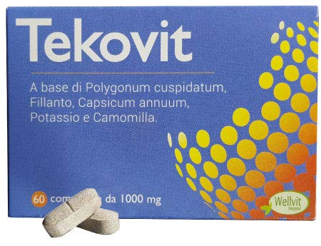 TEKOVIT Integratore Alimentare Naturale Combatte i Calcoli Renali Agevola la Disgregazione e l'Espulsione dei Calcoli Renali A base di Filanto Prodotto in Italia (1)
