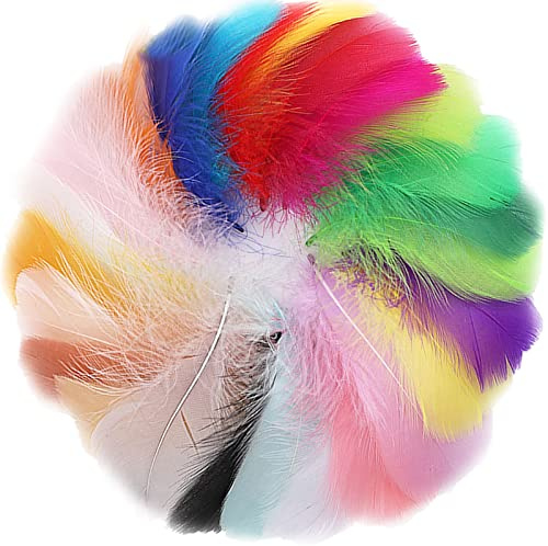 300 Stück Bunte Naturfedern 7–12 cm – Dekofedern aus Gänsefedern für Erwachsene DIY Bastelprojekte, Kostüme, Schmuckdesign, Kopfschmuck, Traumfänger und Eventdekoration