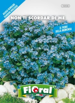 Sementi da fiore di qualità in bustina per uso amatoriale (NON TI SCORDAR DI ME)