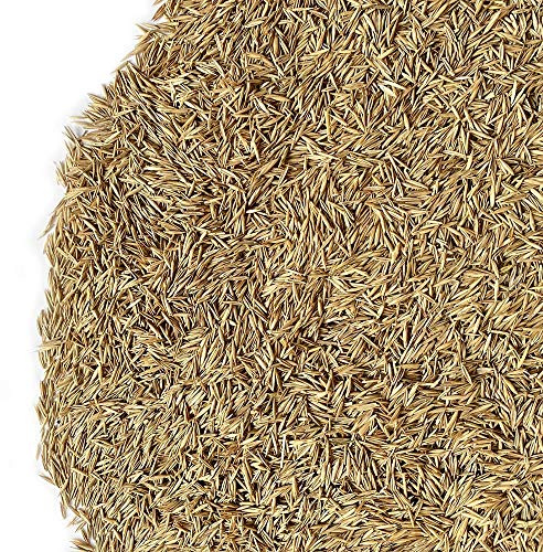 Il Contadino - Antiche Sementi | FESTUCA RUBRA RUBRA | Tappeto molto prestigioso, denso e a foglia fine, Colore verde medio, Abbastanza resistente alla siccità e al caldo (5 Kg)