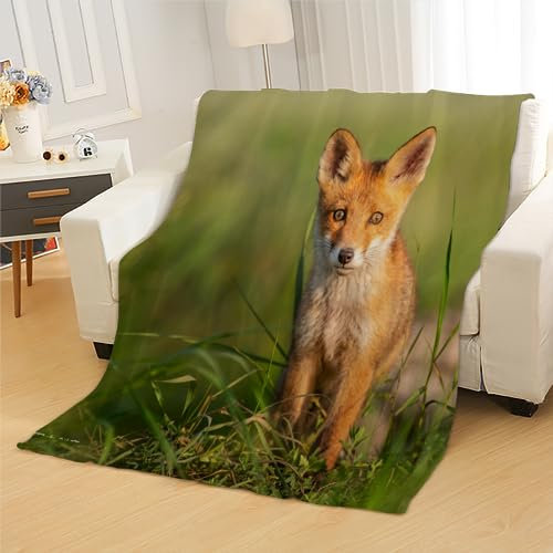 Fuchs Kuscheldecke Flauschig 100x130cm Tier Kinderdecke Babydecke Fleece Flanell Wohndecke Weiche Warme Flauschig Sherpa Decke für Sofa Bett Couch Mädchen Jungen Winter Blanket