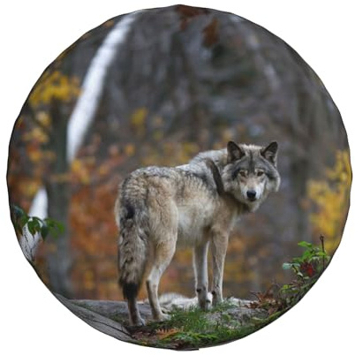 Universal Ersatz Ersatzrad Abdeckung Lonely Wild Grey Wolf Wasserdicht Reserveradabdeckung Staubdicht Reifen für Anhänger, Wohnmobil, SUV, Geländewagen Rad 15 Zoll