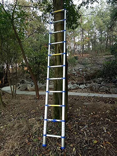 Scala estensibile regolabile in alluminio, leggera, capacità 150 kg, perfetta per casa, tetto, camper, soffitta, lavoro all'aperto e manutenzione, versatile, resistente e portatile