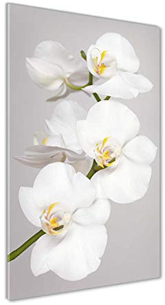 Tulup Glas-Bild Wandbild aus Glas - Wandkunst - Wandbild hinter gehärtetem Sicherheitsglas - Dekorative Wand für Küche & Wohnzimmer 50x100 - Blumen & Pflanzen - Weiße Orchidee - Weiß