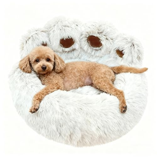 SHJOEE Lettino per Animali Domestici Letto Ortopedico per Gatti e Cani Cuccia Cane Interno Morbida e calda Adorabile cuccia per cani a forma di zampa d'orso di piccola e media (Caffè chiaro, 50cm)