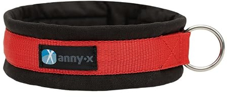 Anny·X Steckhalsband Fun Schwarz-Rot | Gepolstertes Hundehalsband | Größe 5 (42-48 cm)
