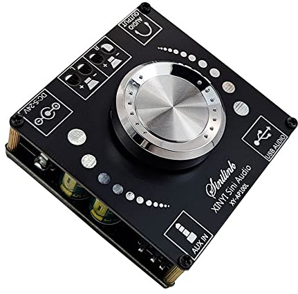 Hsthe Sea Scheda Amplificatore Bluetooth da 100 W + 100 W Canale 5.0, metodi di Input Multipli Ingresso Bluetooth + AUX + USB