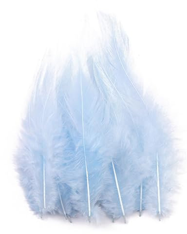 100 Stück Federn zum Basteln,Natürliche Federn,Schmuckfedern Bastelfedern Traumfängerfeder Feathers für DIY Kunsthandwerk Ohrring Hochzeit Ostern Weihnachten Kleidungsdekoration,Hellblau,8-15cm