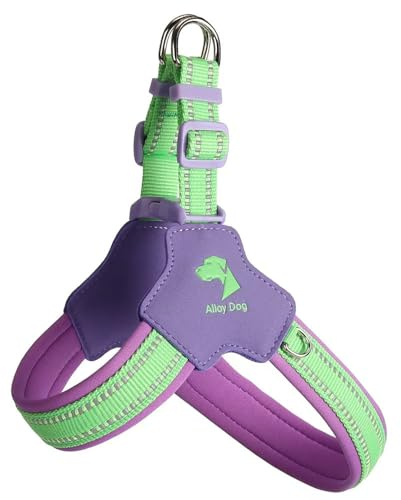 Harnais Anti-Traction en Forme de Y spécialement conçu pour Les Boxer. Il est doté d'un Gilet de Poitrine rembourré et Ajustable avec Bandes réfléchissantes Purple L