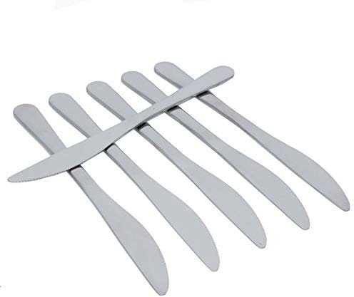 BESCH 6 Cuchillos de Mesa Acero Inoxidable 21.5 x 2 cm
