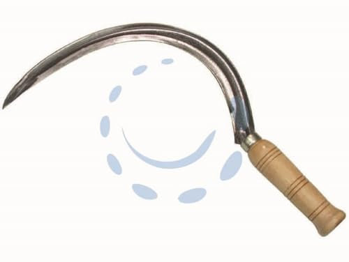 1PEZZO FALCIOLA CON COSTA 658 - n?3