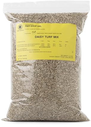R&R SHOP - Turf Mix Whit Daisies, Fast Growing, Double Variety of Daisies (200gr-10sqm)