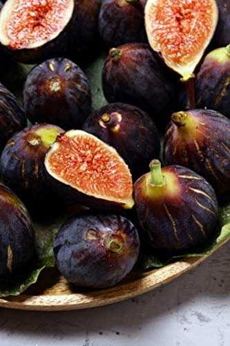 eGarden.store - Pianta vera di Fico o Fioreone o Ficus Carica diverse varietà 2 anni - Albero da frutta commestibile da coltivare in giardino o in vaso (Di Terlizzi)