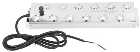 plplaaoo Generador de Niebla ultrasónico de 12 Cabezales, Potente, silencioso, IP67, Resistente al Agua, CC 45 V, Cable de 1,5 m, para estanques, Fuentes, paisajes, Acero Inoxidable.
