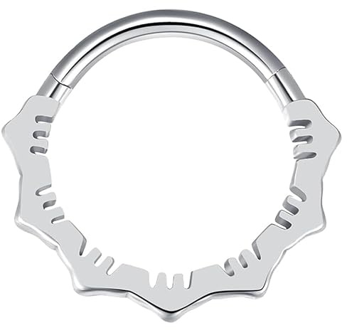 Vankula Septum Ring Hinged Piercing Segmentring Clicker aus Chirurgenstahl 16G 8mm 10mm Vintage Nase Helix Daith Tragus Conch Piercing Schmuck für Frauen und Männer Gold Silber