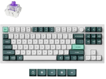 Keychron Q3 HE Wireless Custom Mechanical Tastatur,80% ANSI Layout QMK/VIA Programmierbares Vollaluminium Bluetooth/Wired RGB Hot-Swapable Hall Effect Gateron Magn (Weiß)