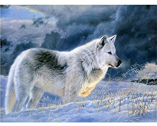 YINGXIN88 5D Diamant Painting Kits, Pack Runde Voll Drill Diamond Painting Zubehör Kristall Kreuzstich Kunst Handwerk für Hause WanddekorationWeißer Wolf im Schnee-50x50cm