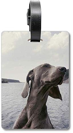 Hundemarke / Hundemarke, Motiv Kreuzfahrt, Grau