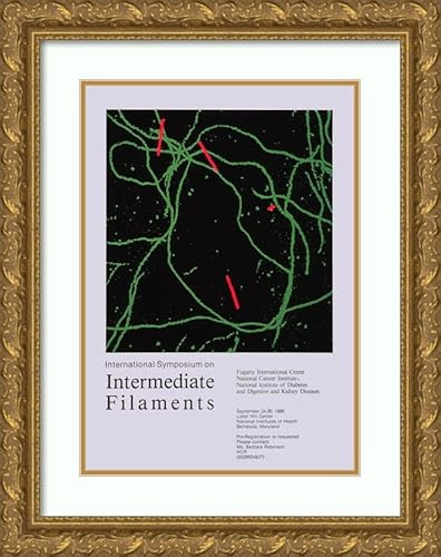 ArtDirect National Institutes of Health 14x18 Gold Ornate Frame and Double Matted Museum Art Print Titled - International Symposium on Intermediate Filaments (1986)