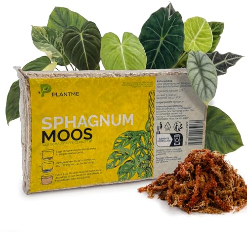 PlantMe Sphagnum Moos aus Chile, gepresst 200 g (ergibt ca. 10 L) – langfaseriges Moos für Zimmerpflanzen, Moosstäbe, Monstera, Philodendron, Alocasia, Orchideen & Karnivoren