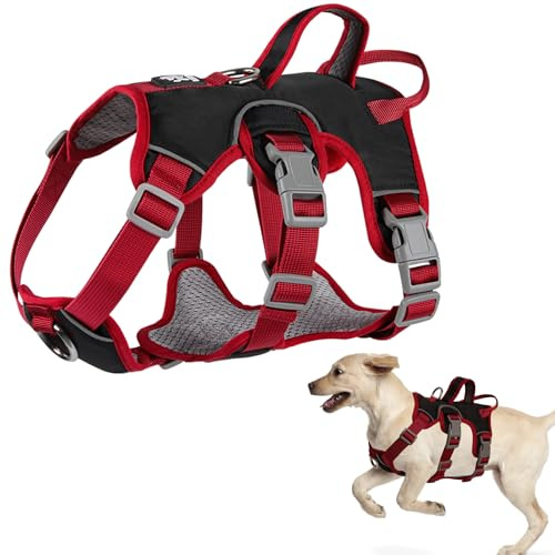 LiebeDD Hundegeschirr, Sicherheitsgeschirr Hund Ausbruchsicher, Brustgeschirr Gepolstert mit 2 Griff und 2 Leinenclips, Anti Zug Geschirr für Mittelgroße Kleine Hunde Welpen (Schwarz, L)