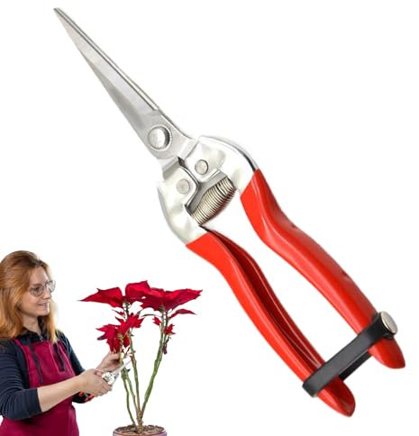 Tijeras De Podar | Tijeras De Jardinería De Acero Inoxidable Y Herramientas Para Bonsáis | Podadoras Para Plantas De Árboles Frutales Uvas Enredaderas Y