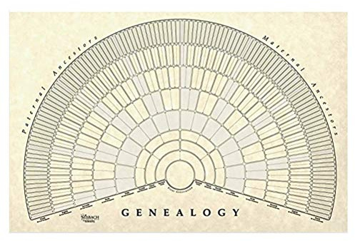 Garosa Toile Arbre Généalogique 57x85 cm Tableau Vierge à Personnaliser pour Histoire Familiale Enregistrement Bébé Décoration Murale Chambre Sans Cadre
